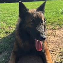 Thumbnail photo of King #1