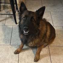 Thumbnail photo of King #2