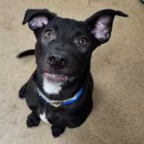 Thumbnail photo of Luke #3