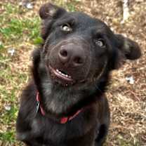 Thumbnail photo of Quartz #1