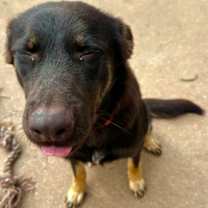 Thumbnail photo of Quartz #2