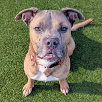 Thumbnail photo of Link #3