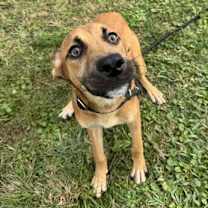 Thumbnail photo of Twister #1