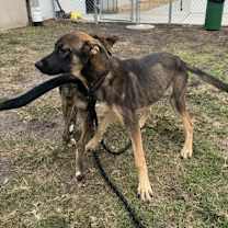 Thumbnail photo of Twister #2