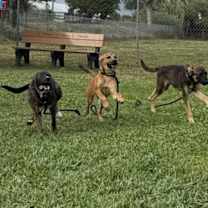 Thumbnail photo of Twister #4