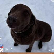 Thumbnail photo of Amy (fta) #4