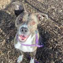 Thumbnail photo of Kingston #1