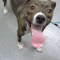 Thumbnail photo of Kingston #2