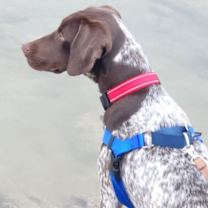 Thumbnail photo of Rowan #2