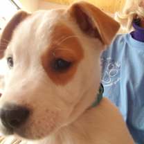 Thumbnail photo of Igor Newberry #3