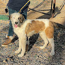 Thumbnail photo of Torie #2