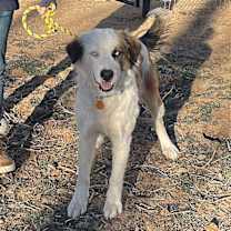 Thumbnail photo of Torie #3