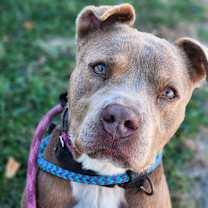 Thumbnail photo of Zeuser #1