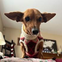 Thumbnail photo of Itsy #1