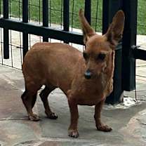 Thumbnail photo of Itsy #2