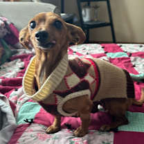 Thumbnail photo of Itsy #4