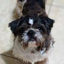 Thumbnail photo of Cardova #1