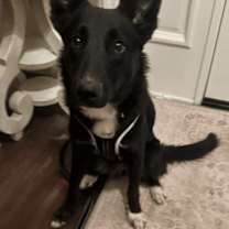 Thumbnail photo of Yami #2