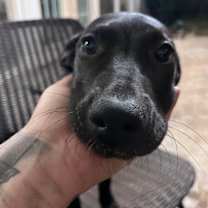 Thumbnail photo of Tia #3