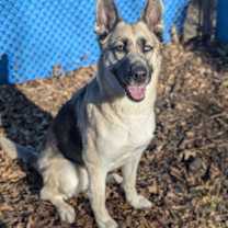 Thumbnail photo of Bonnie #2