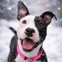 Thumbnail photo of Quiver #1