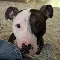 Thumbnail photo of Quiver #4