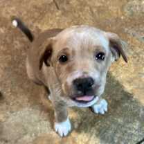 Thumbnail photo of Buzz #3