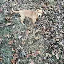 Thumbnail photo of Nectar #2