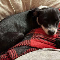 Thumbnail photo of Maggie #3