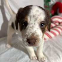 Thumbnail photo of Dude #3