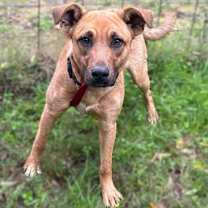 Thumbnail photo of Beans #2