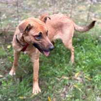 Thumbnail photo of Beans #4