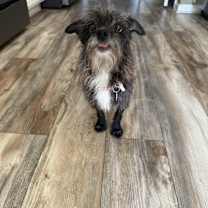 Thumbnail photo of Enid #3