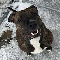 Thumbnail photo of Demi #1