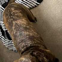 Thumbnail photo of Demi #3