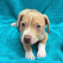 Thumbnail photo of Buddy #3