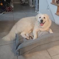 Thumbnail photo of Linda HTX #2