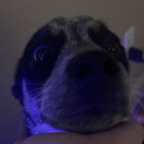 Thumbnail photo of Cash #2