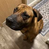 Thumbnail photo of Harris #1