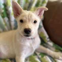 Thumbnail photo of Yellowstone #1