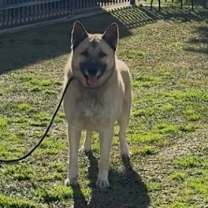 Thumbnail photo of MAX #1