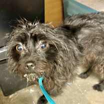 Thumbnail photo of Flower #1