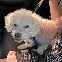 Thumbnail photo of Nolan in RI #4