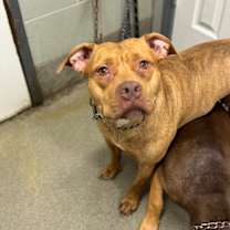 Thumbnail photo of Sasha #1