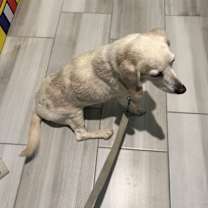 Thumbnail photo of Jake #3