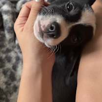 Thumbnail photo of Turkey #3