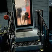 Thumbnail photo of Maya #3