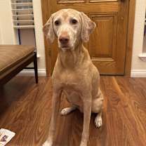 Thumbnail photo of Maggie #2