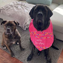 Thumbnail photo of Maya #2