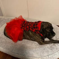 Thumbnail photo of Maya #1